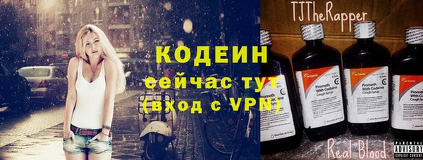 гидра Богданович