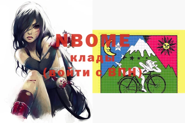 прущие крисы Бородино