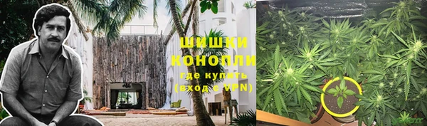прущие крисы Бородино