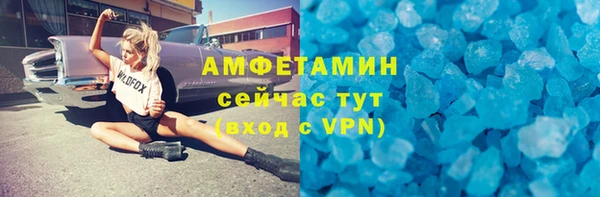 прущие крисы Бородино