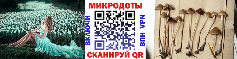 Галлюциногенные грибы прущие грибы  Демидов 
